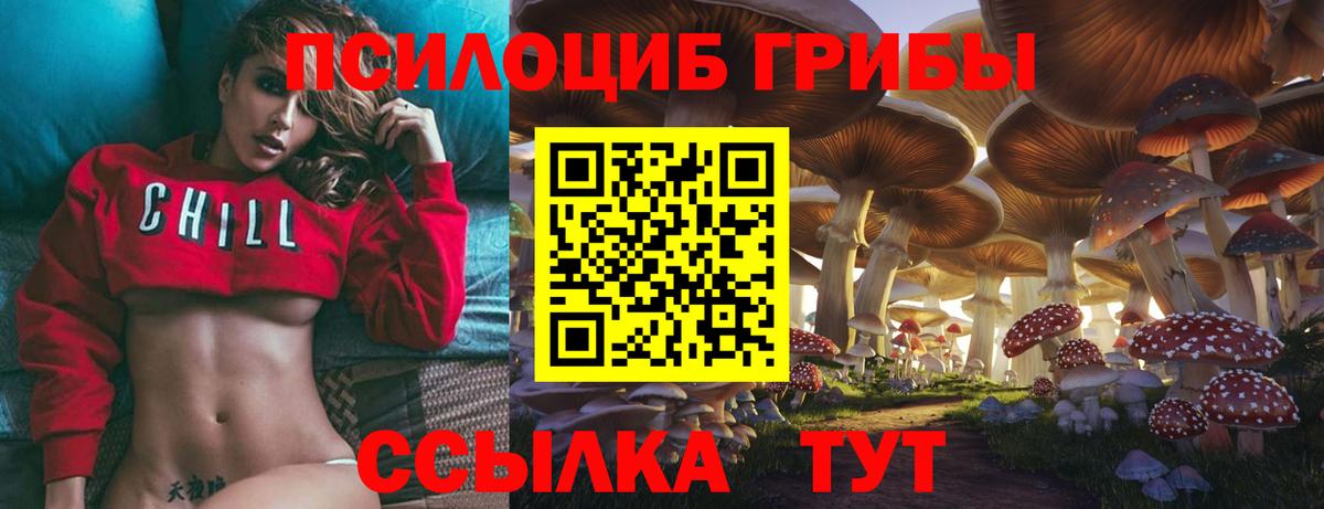 Туймазы  Галлюциногенные грибы Psilocybe  Вход с VPN 
